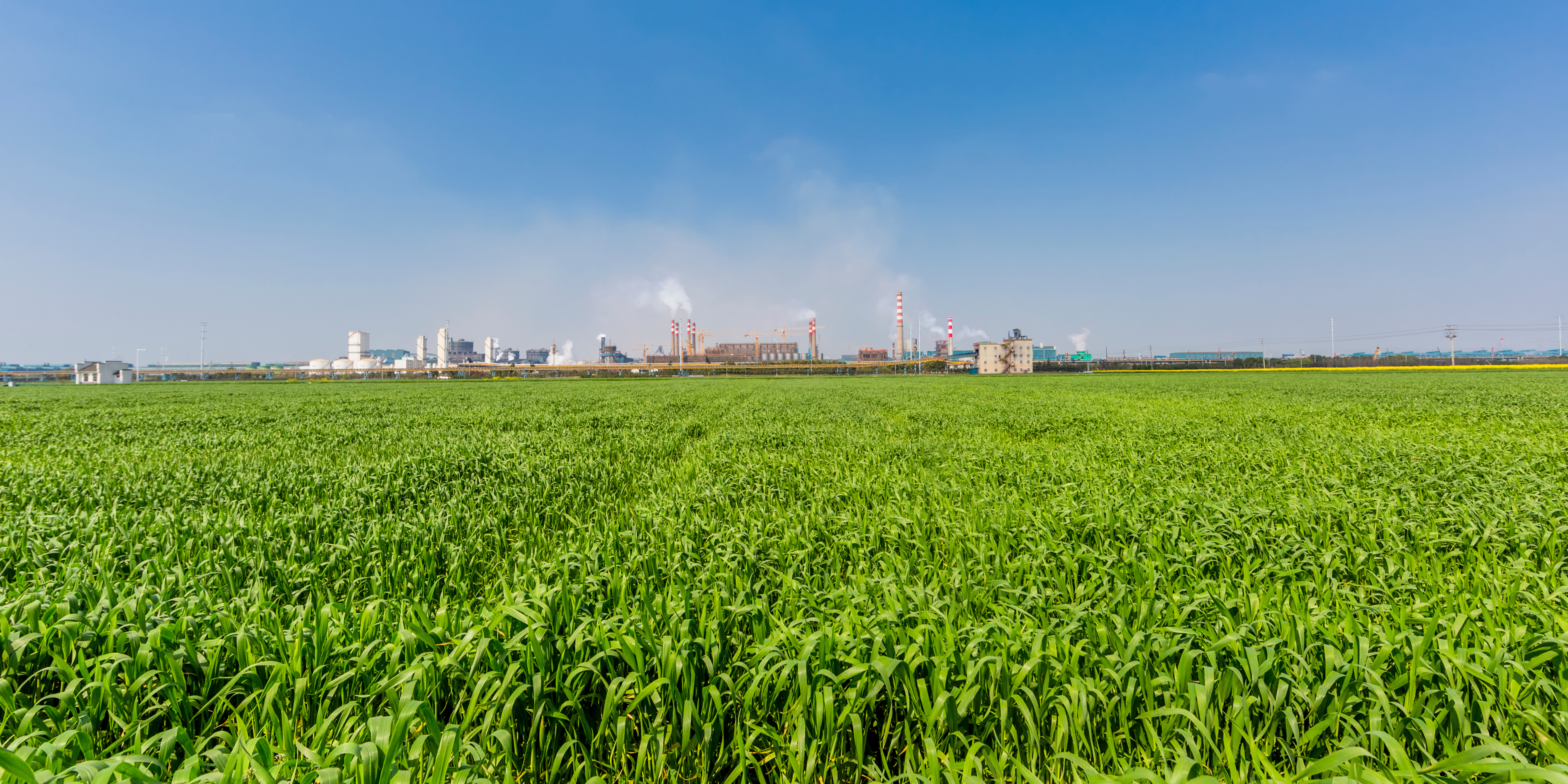 Urbanisable Zone Development